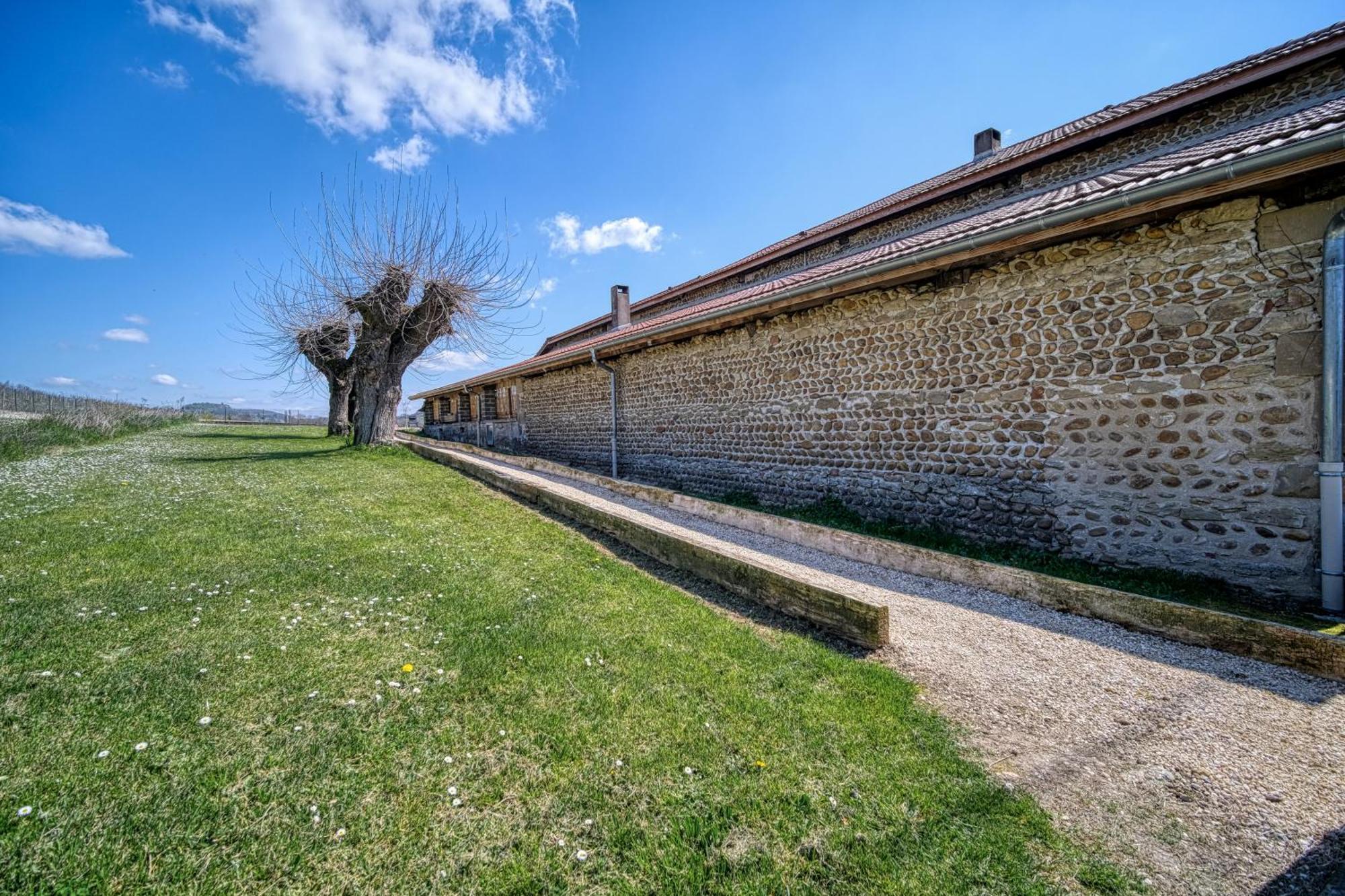 Maison Michonieres - Gite 3 Etoiles - 8 Personnes Miribel  Экстерьер фото